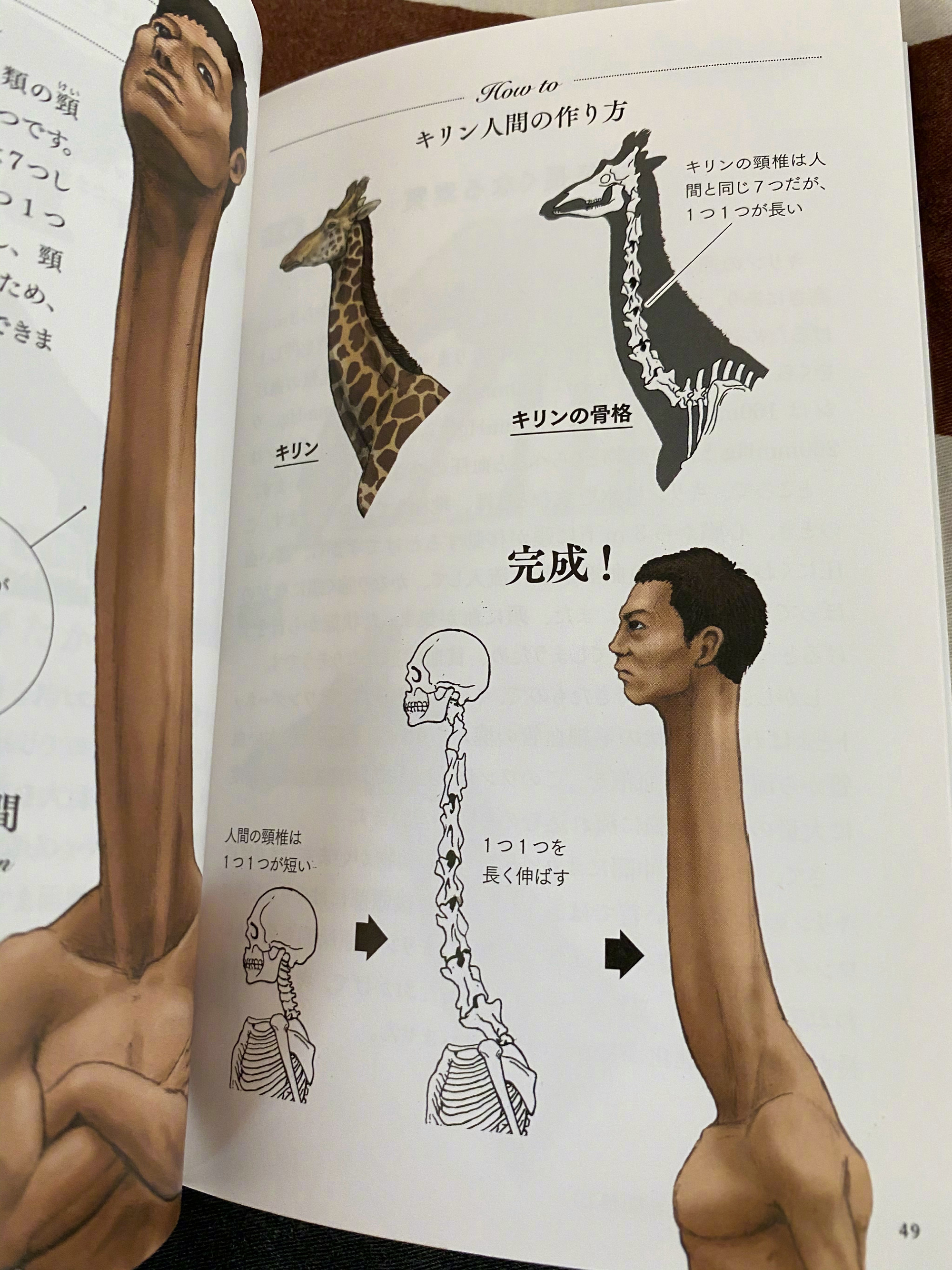 古生物画师川崎悟司的奇葩科普图鉴。