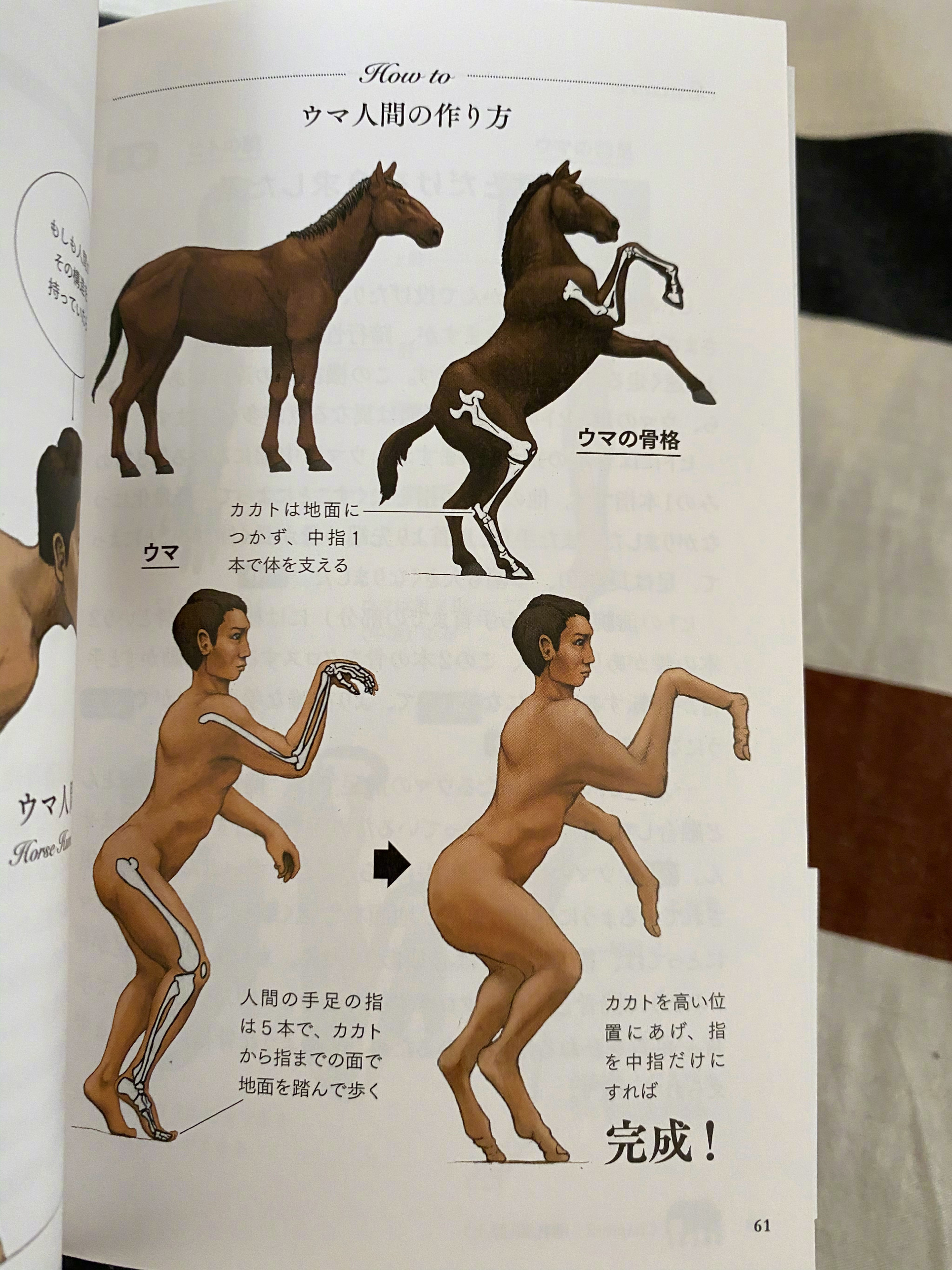 古生物画师川崎悟司的奇葩科普图鉴。